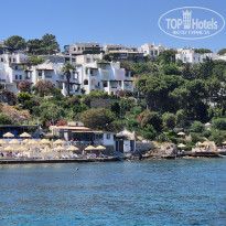 фото из отзыва ID 2718508