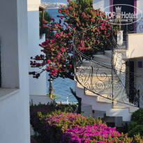 фото из отзыва ID 2718508