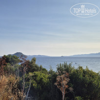 фото из отзыва ID 2718508