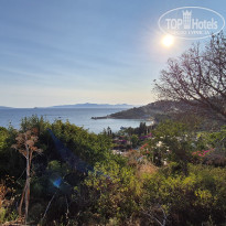 фото из отзыва ID 2718508