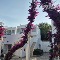 фото из отзыва ID 2718508