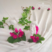 фото из отзыва ID 2718523