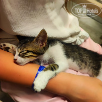 фото из отзыва ID 2718523