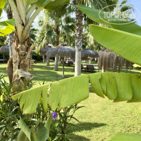 фото из отзыва ID 2718560