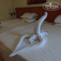 фото из отзыва ID 2718558