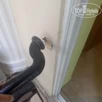 фото из отзыва ID 2718568