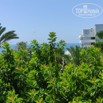 фото из отзыва ID 2718574