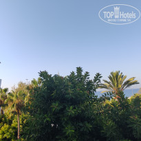 фото из отзыва ID 2718574