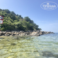 фото из отзыва ID 2718590