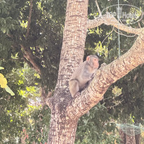 фото из отзыва ID 2718590