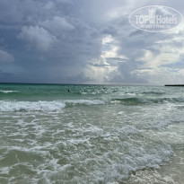 фото из отзыва ID 2718602