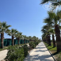 фото из отзыва ID 2718625