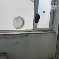 фото из отзыва ID 2718647