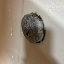 фото из отзыва ID 2718021