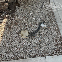 фото из отзыва ID 2718021