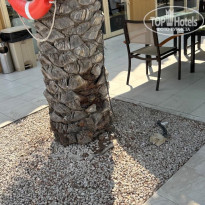 фото из отзыва ID 2718021