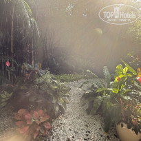 фото из отзыва ID 2718665