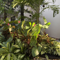 фото из отзыва ID 2718665