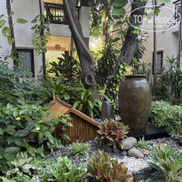 фото из отзыва ID 2718665