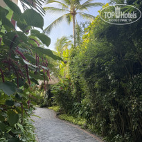 фото из отзыва ID 2718665