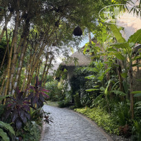 фото из отзыва ID 2718665