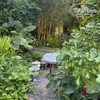 фото из отзыва ID 2718665