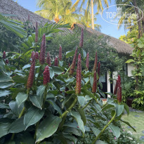 фото из отзыва ID 2718665