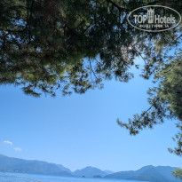 фото из отзыва ID 2718688