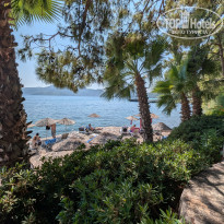 фото из отзыва ID 2718688