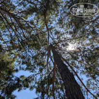 фото из отзыва ID 2718688