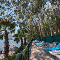 фото из отзыва ID 2718688