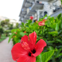 фото из отзыва ID 2718693