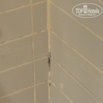 фото из отзыва ID 2718699