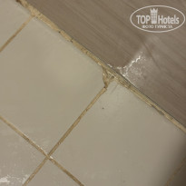 фото из отзыва ID 2718699