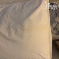 фото из отзыва ID 2718699