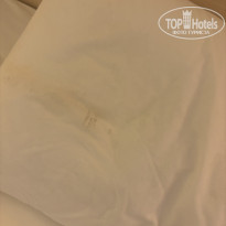 фото из отзыва ID 2718699