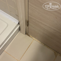 фото из отзыва ID 2718699