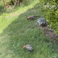 фото из отзыва ID 2718705