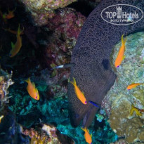 фото из отзыва ID 2718705