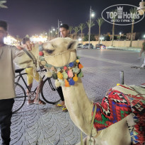 фото из отзыва ID 2718713