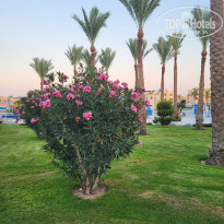 фото из отзыва ID 2718713