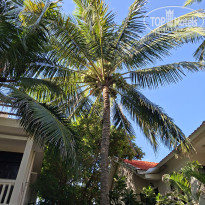 фото из отзыва ID 2718738