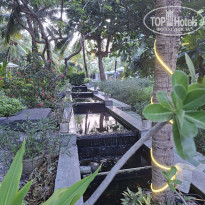 фото из отзыва ID 2718738