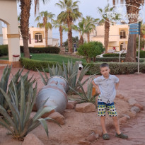 фото из отзыва ID 2718739