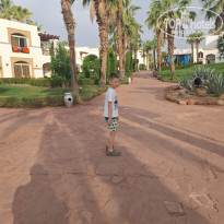 фото из отзыва ID 2718739