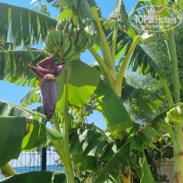 фото из отзыва ID 2718747