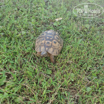 фото из отзыва ID 2718747