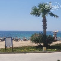 фото из отзыва ID 2718747