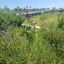 фото из отзыва ID 2718747