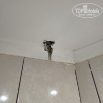 фото из отзыва ID 2718771